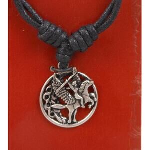 Vintage Celtic Vision Sacred Symbols Pegasus Necklace Pendant 24 Adjustable Cord